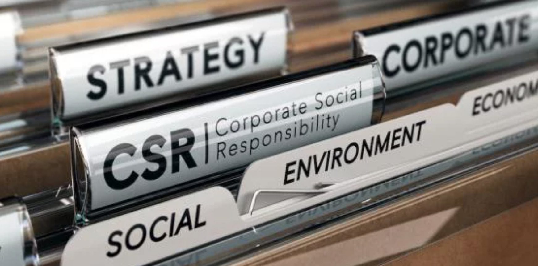 corporate sustainability